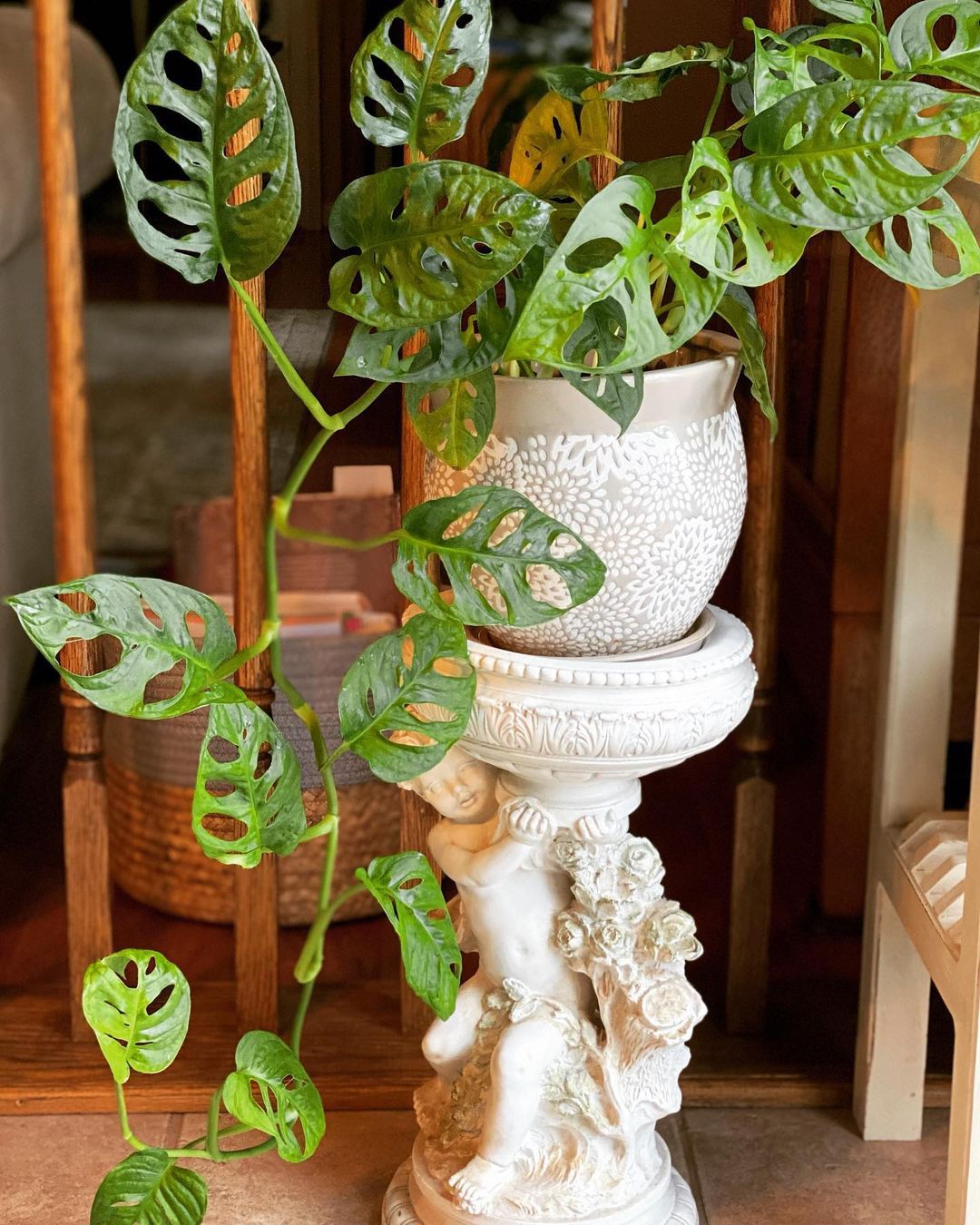 How To Choose The Right Green Houseplant For Your Space
