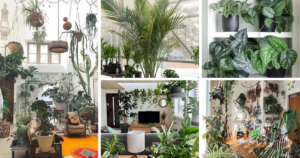 7 Air-Purifying Houseplants That Will Make Your Home Healthier