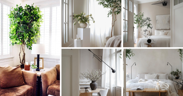 Breathe Easier With These Top 10 Air Purifying Houseplants!