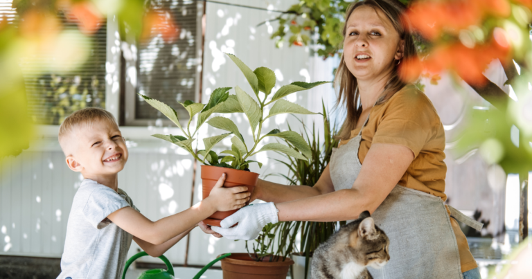 Plant-Challenged? Try these Easy Care Houseplants and Stop Killing Your Greens!