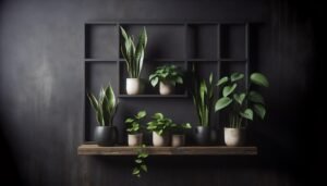 low maintenance plants for low light